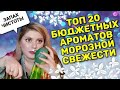 Видео - ТОП 20 ХОЛОДНЫХ АРОМАТОВ НА ЗИМУ / БЮДЖЕТНЫЕ АРОМАТЫ МОРОЗНОЙ СВЕЖЕСТИ