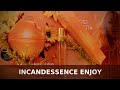 Видео - Новинка от Avon Incandessence Enjoy