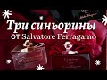 Видео - Три синьорины от Salvatore Ferragamo(обзор ароматов).