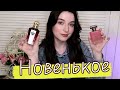 Видео - ОЧЕНЬ КРАСИВЫЕ АРОМАТЫ😍 НОВЫЕ ПАРФЮМЫ❤️‍🔥  ORENTAL ПРОМОКОД