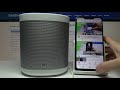 Видео - Для чего нужен Sound Streaming на Xiaomi Mi Smart Speaker? / Передача звука Xiaomi Mi Smart Speaker