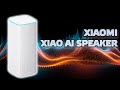 Видео - Обзор умной колонки Xiaomi Xiao Ai Speaker