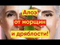 Видео - ОСТОРОЖНО: ДРЯБЛАЯ КОЖА! ПОМОЖЕТ АЛОЭ ОТ МОРЩИН