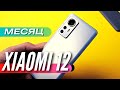 Видео - МЕСЯЦ с XIAOMI 12. ОЧЕНЬ ЖДАЛ, НО НЕ ЗАШЛО, ПОЧЕМУ?