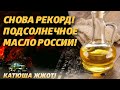 Видео - Новое золото России: подсолнечное масло!