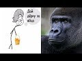 Видео - Вскрытие энергетического напитка Gorilla Energy