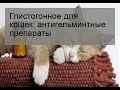 Видео - Глистогонное для кошек: антигельминтные препараты