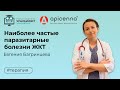 Видео - Наиболее частые паразитарные болезни ЖКТ кошек и собак и мой подход к ним. Лектор Евгения Багринцева