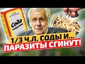 Видео - Неумывакин: Паразиты СДОХНУТ И БОЛЬШЕ НЕ ПРИЖИВУТСЯ!