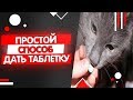 Видео - Как дать коту таблетку от глистов, как часто давать таблетки от глистов