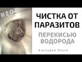 Видео - &quot;Глисты выходили клубками...&quot;   История Оли