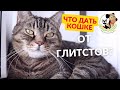 Видео - Что лучше дать кошке от глистов?