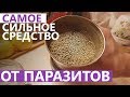 Видео - САМОЕ СИЛЬНОЕ СРЕДСТВО ОТ ПАРАЗИТОВ (ГЛИСТОВ)