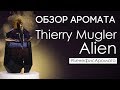 Видео - Обзор и отзывы о Thierry Mugler Alien (Тьерри Мюглер Алиен) от Духи.рф | Бенефис аромата