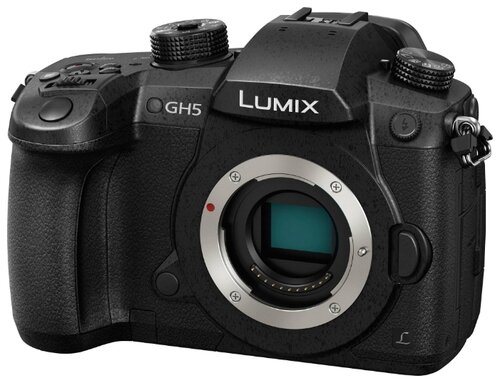 Panasonic Lumix GH5 Body - фото 1