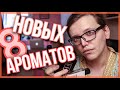 Видео - 8 НОВЫХ АРОМАТОВ / ПЕРВОЕ ВПЕЧАТЛЕНИЕ / люксовая и бюджетная парфюмерия