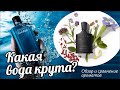 Видео - DAVIDOFF COOL WATER vs CREED GREEN IRISH TWEED - ОБЗОР и СРАВНЕНИЕ АРОМАТОВ // Fragrance Review