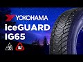 Видео - Зимние шины Yokohama IceGuard IG65 обзор 2020/2021