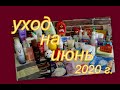 Видео - УХОД НА ИЮНЬ 2020 г.