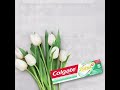 Видео - COLGATE TOTAL 12 Профессиональная чистка гель комплексная зубная паста 75 мл CN06146A 3