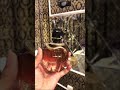 Видео - PacoRabanne Pure XS 80ml