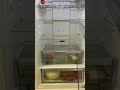 Видео - Обзор холодильника Gorenje NRK6202AW4