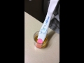 Видео - Positive pregnancy test.