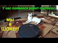 Видео - Обзор на робот-пылесос NEATSVOR X500 для сухой и влажной уборки!