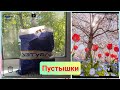 Видео - Пустые баночки весны //Сколько баночек в пакете? #пустышки