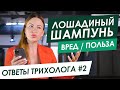 Видео - ЛОШАДИНЫЙ ШАМПУНЬ для ЛЮДЕЙ? - Правда и Мифы о Волосах - Отвечает ТРИХОЛОГ ORising