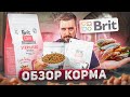 Видео - Новый сухой корм Brit Care для кошек и собак | Обзор отечественного корма Брит Кеа