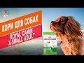 Видео - КОРМ ДЛЯ СОБАК ROYAL CANIN X-SMALL ADULT | Обзор КОРМА ДЛЯ СОБАК ROYAL CANIN X-SMALL ADULT