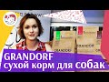 Видео - Grandorf сухой корм для собак на  ilikepet