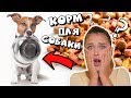 Видео - КАК ВЫБРАТЬ СУХОЙ КОРМ ДЛЯ СОБАКИ? | ВЫБИРАЕМ КОРМ СОБАКЕ