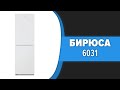 Видео - Холодильник Бирюса 6031 (W6031, M6031)