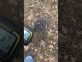 Видео - Про звук Metaldetector TX850