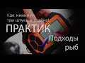 Видео - Разбираем подходы рыб на эхолотах Практик