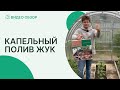 Видео - Обзор и установка капельного полива Жук