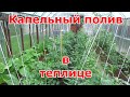 Видео - Капельный полив Жук в поликарбонатной теплице. Коротко и подробно об установке на 3 грядки в теплице