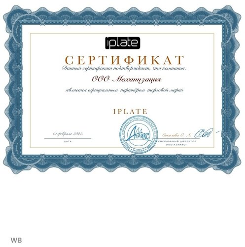 Газовая плита Iplate IGH-140c - фото 5