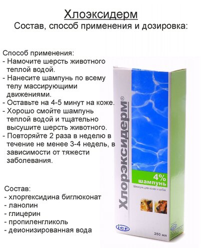 Шампунь -шампунь ICF Хлорэксидерм для собак и кошек с хлоргексидином 4% - фото 3