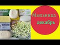 Видео - Мыльница с новым мылом на декабрь-22🧽/распаковка/обзор👍