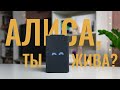 Видео - Опыт использования Яндекс Станция Макс. Алиса жива?