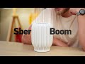 Видео - Обзор SberBoom и SberBoom mini