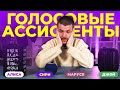 Видео - Битва ассистентов: Алиса / Siri / Маруся / Сбер.  Какая умная колонка лучше?