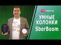 Видео - Распаковка и обзор: что умеют умные колонки SberBoom и SberBoom Mini?