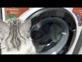 Видео - Стиральная машинка Hotpoint-Ariston NSB 7239 ZK VE RU белый