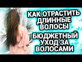 Видео - Мой бюджетный уход за волосами Как отрастить длинные волосы