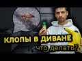 Видео - КАК ИЗБАВИТЬСЯ ОТ КЛОПОВ В ДИВАНЕ