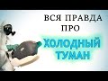 Видео - Что такое ХОЛОДНЫЙ ТУМАН — как ДЕЙСТВУЕТ на КЛОПОВ и ТАРАКАНОВ в квартире, и опасен ли для человека?